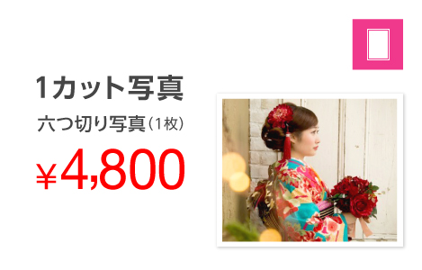 1カット写真(六つ切り写真1枚)4,800円