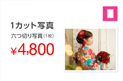 1カット写真(六つ切り写真1枚)4,800円