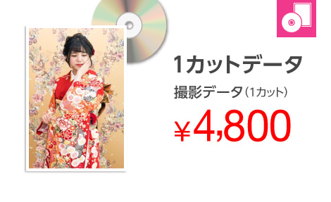 1カットデータ4,800円