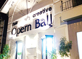 Opern Ball